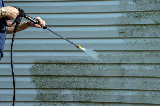 Best Graffiti Removal  in Livingston, TN